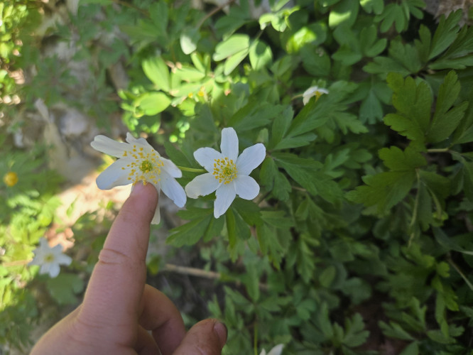 Mandy Springsguth - Tagesmutter Mandy Springsguth Mandy Springsguth